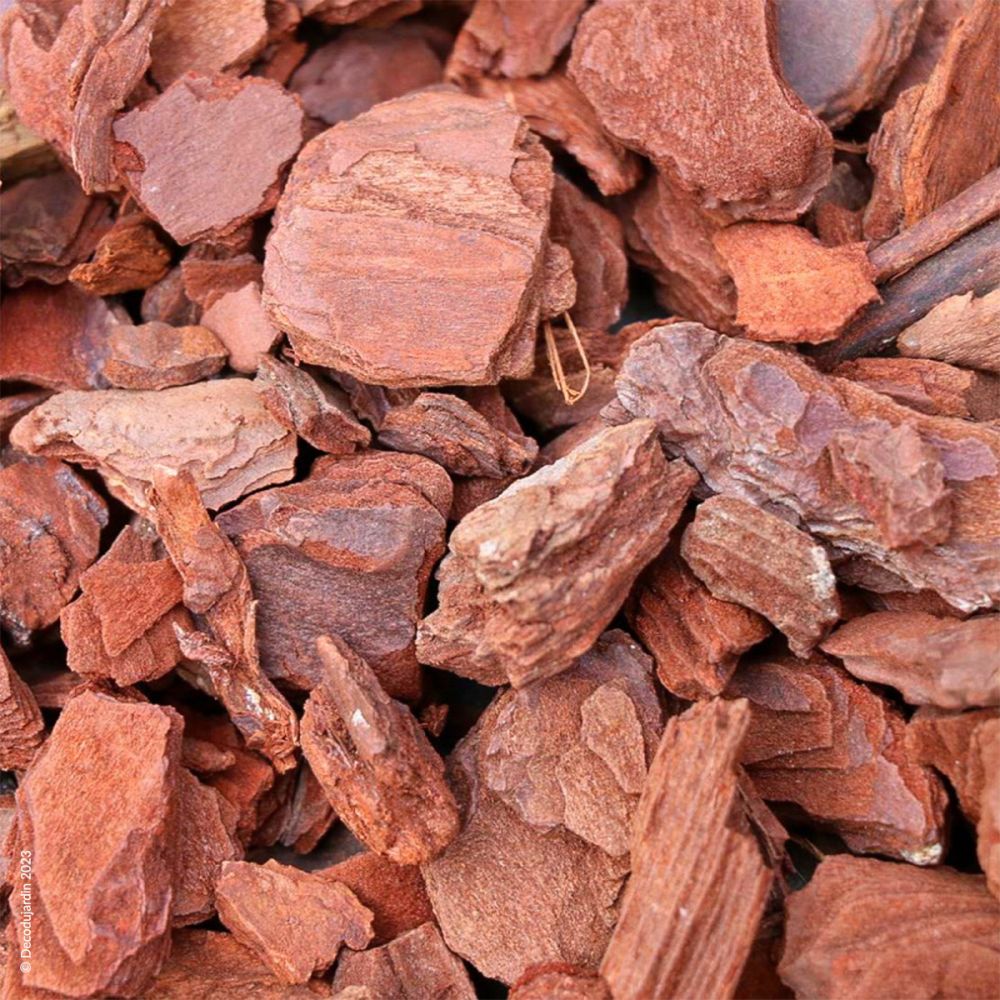 Description alternative par défaut