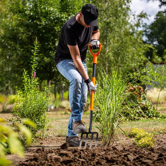 Description alternative par défaut