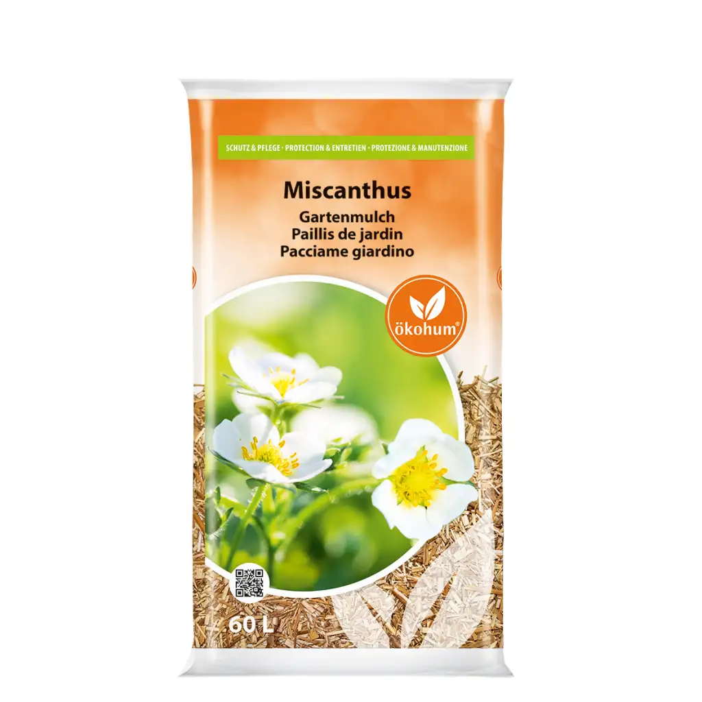 Description alternative par défaut