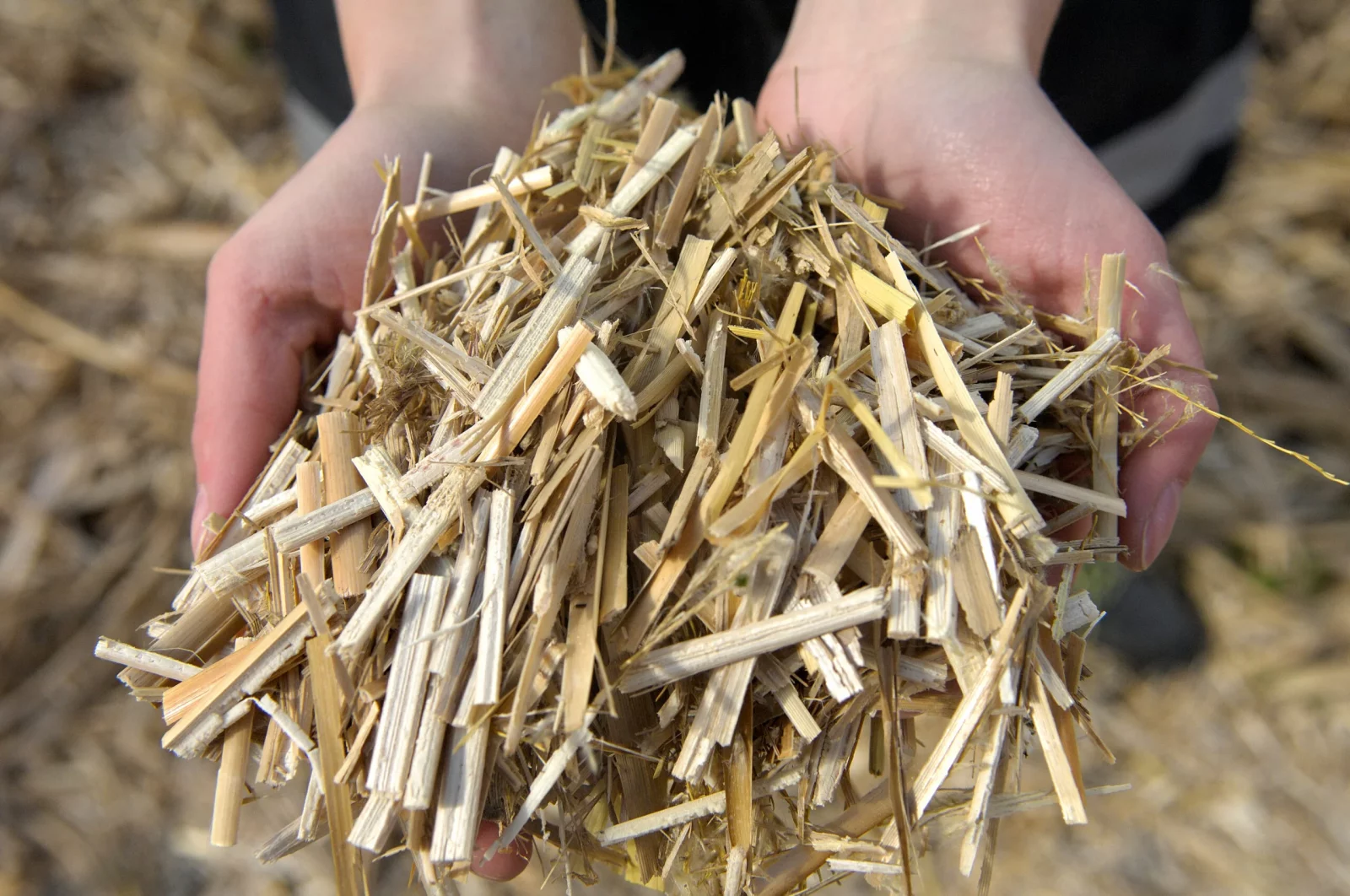 Description alternative par défaut