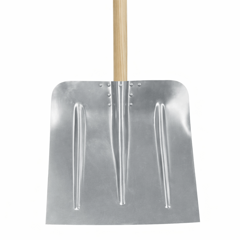 Description alternative par défaut