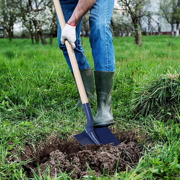 Description alternative par défaut