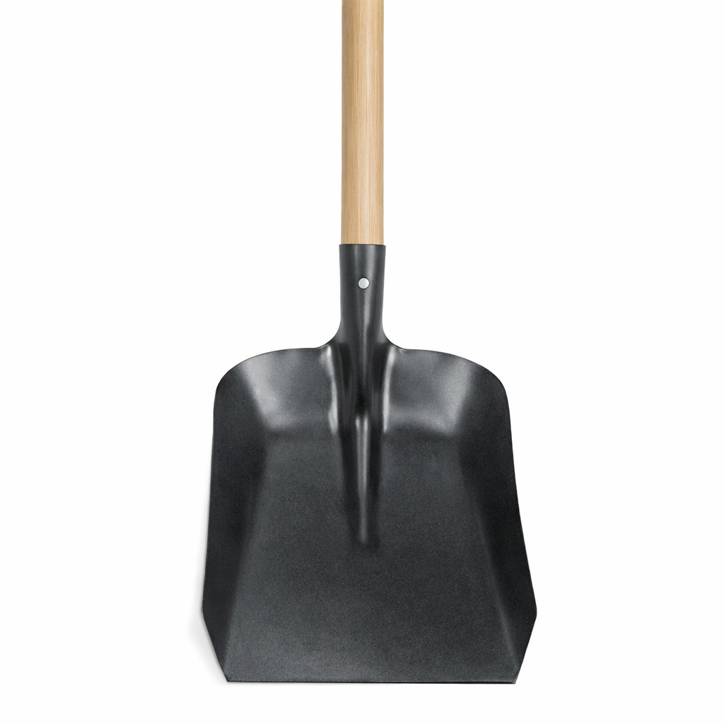 Description alternative par défaut