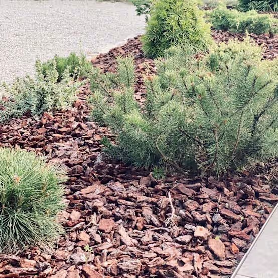 Description alternative par défaut