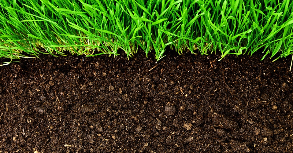 Description alternative par défaut