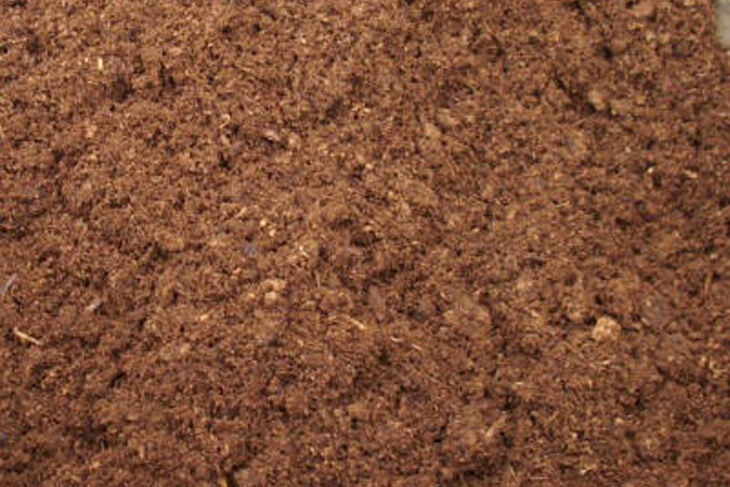 Description alternative par défaut