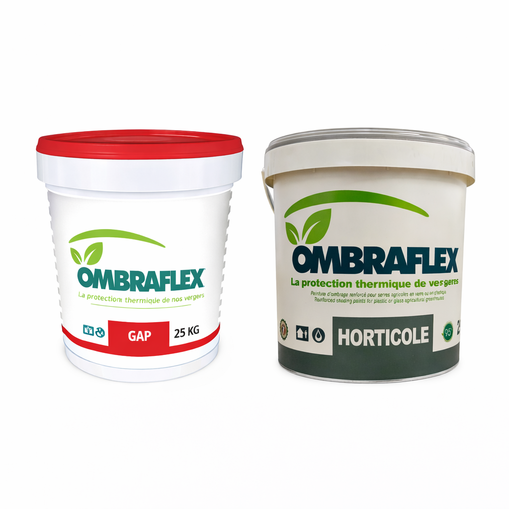 Description alternative par défaut