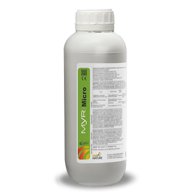 Description alternative par défaut