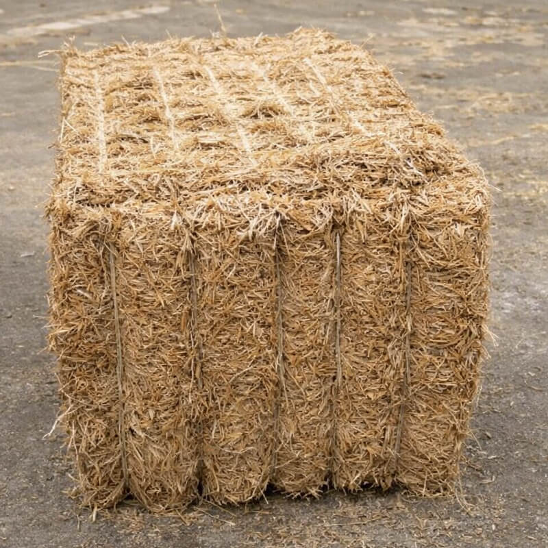 Description alternative par défaut