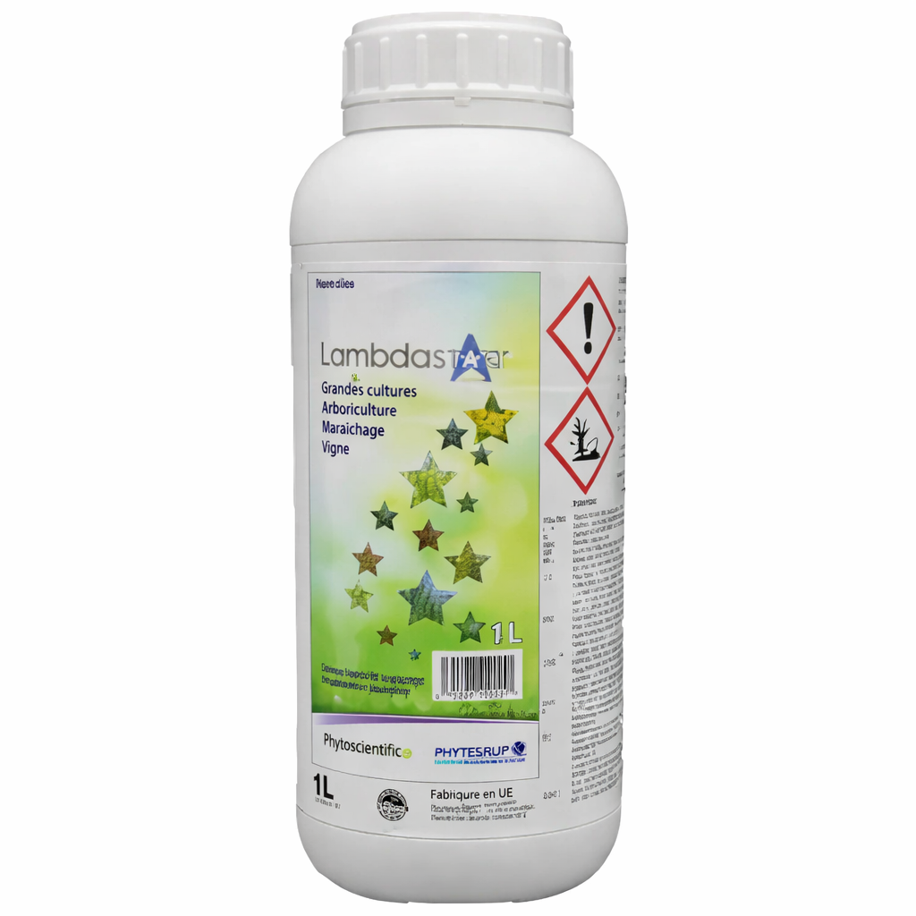 Description alternative par défaut