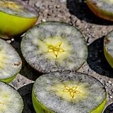 Description alternative par défaut