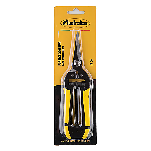 Description alternative par défaut