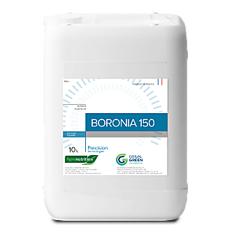 Description alternative par défaut