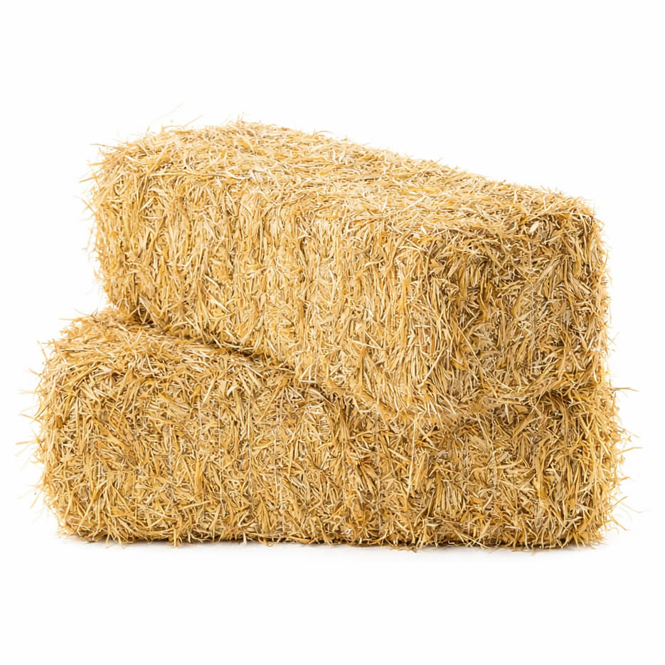 Description alternative par défaut