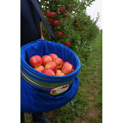 Description alternative par défaut