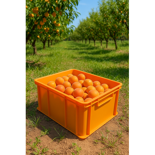 Description alternative par défaut