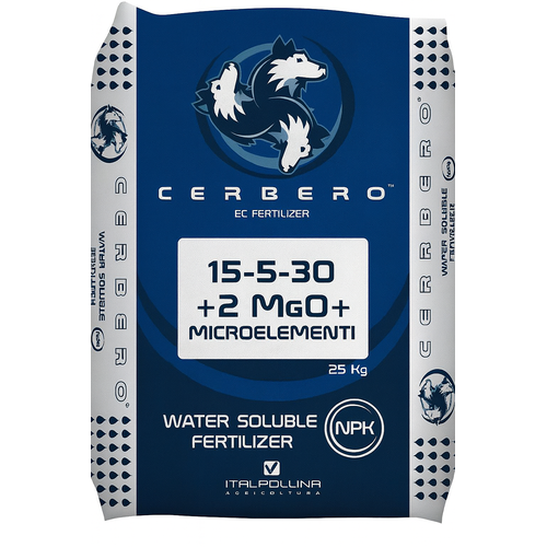 Description alternative par défaut