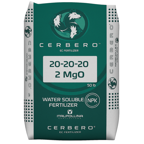 Description alternative par défaut