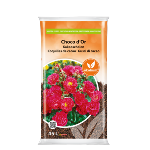 Description alternative par défaut