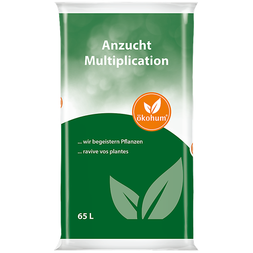 Description alternative par défaut