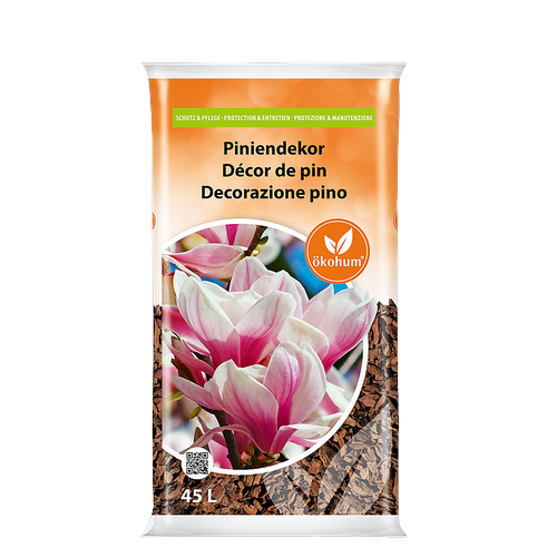 Description alternative par défaut