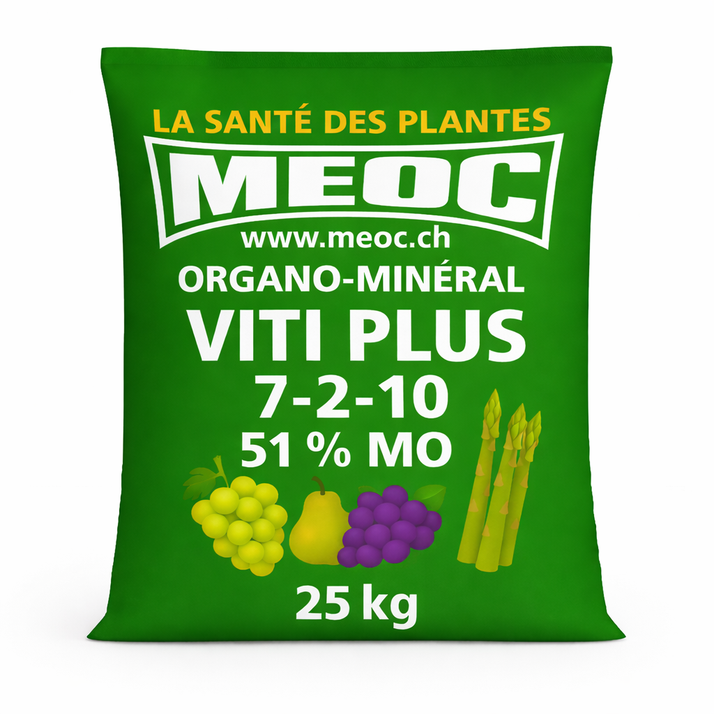 Description alternative par défaut