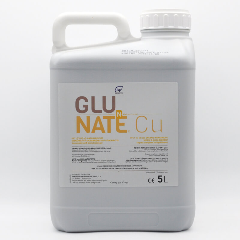 Description alternative par défaut