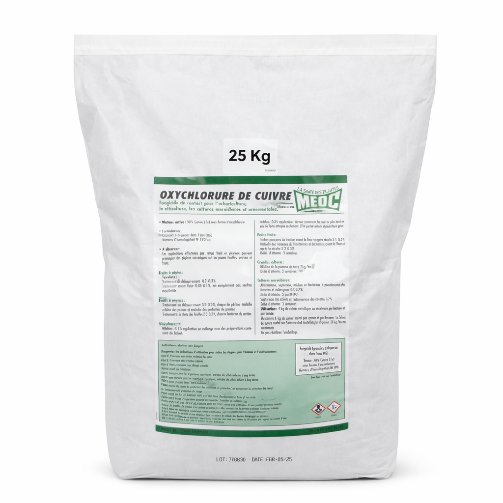 Description alternative par défaut