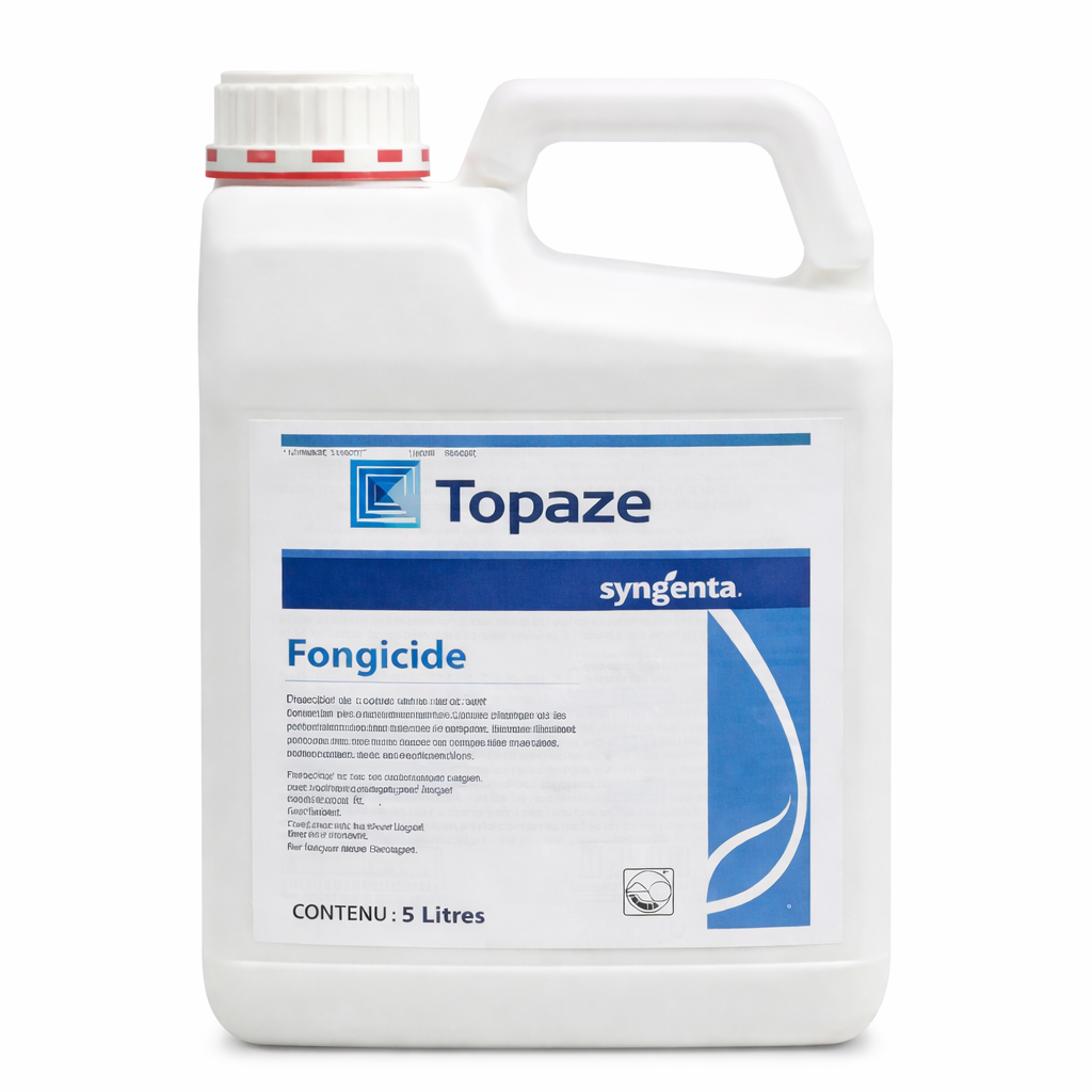 Description alternative par défaut