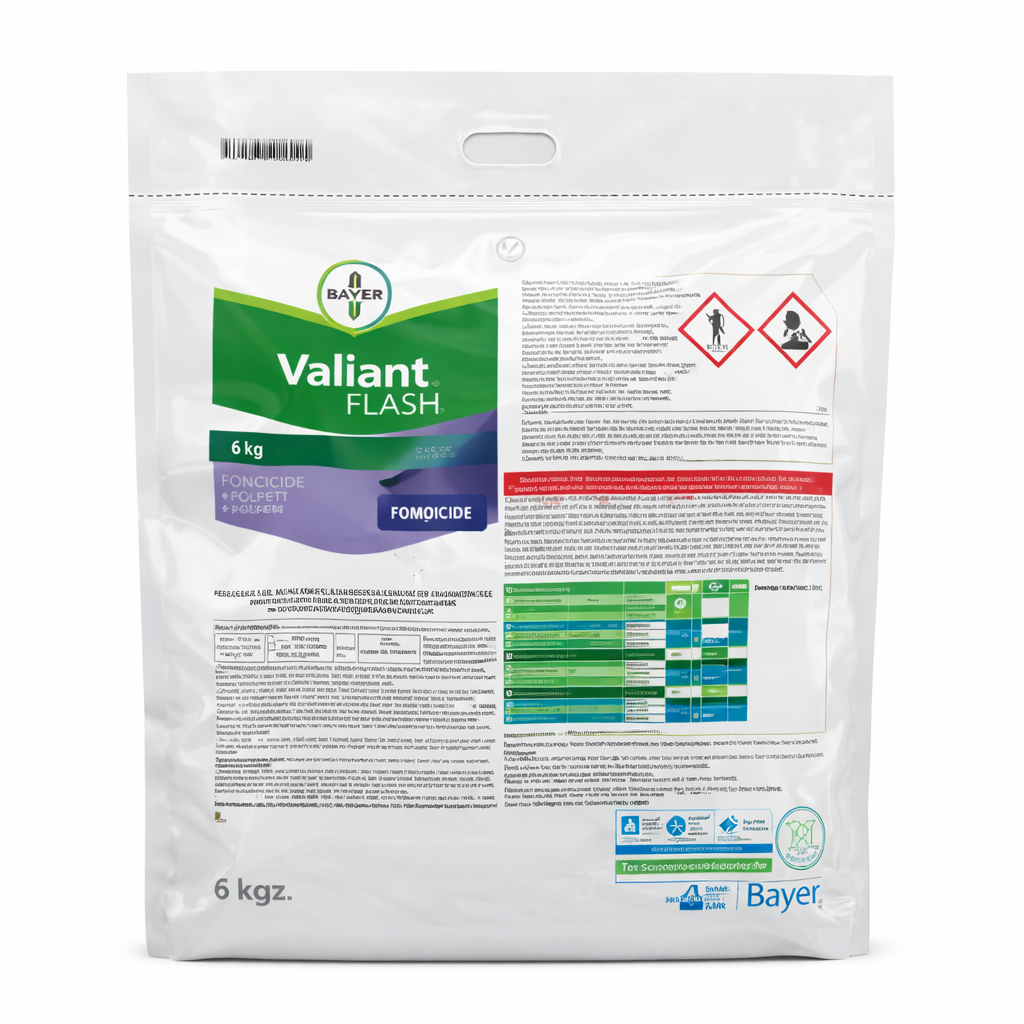 Description alternative par défaut