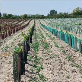 Description alternative par défaut