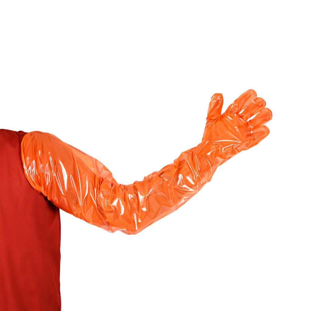 Description alternative par défaut