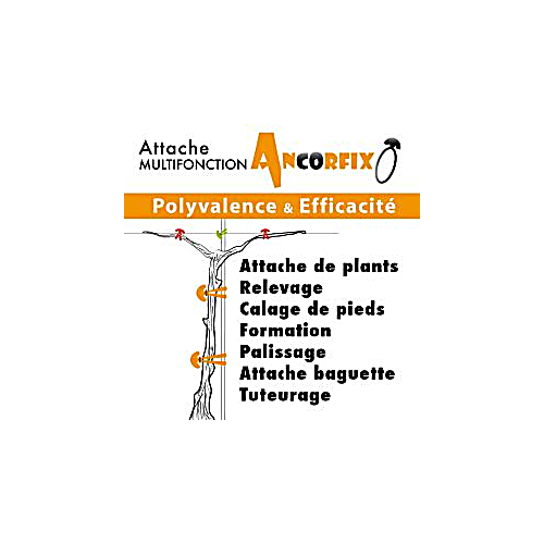 Description alternative par défaut