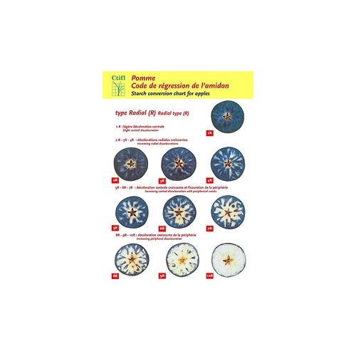 Description alternative par défaut