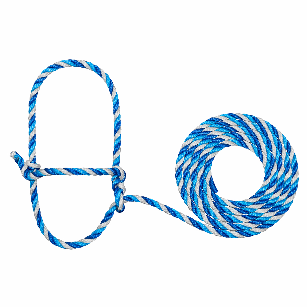 Description alternative par défaut