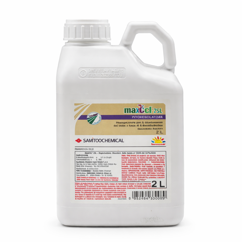 Description alternative par défaut