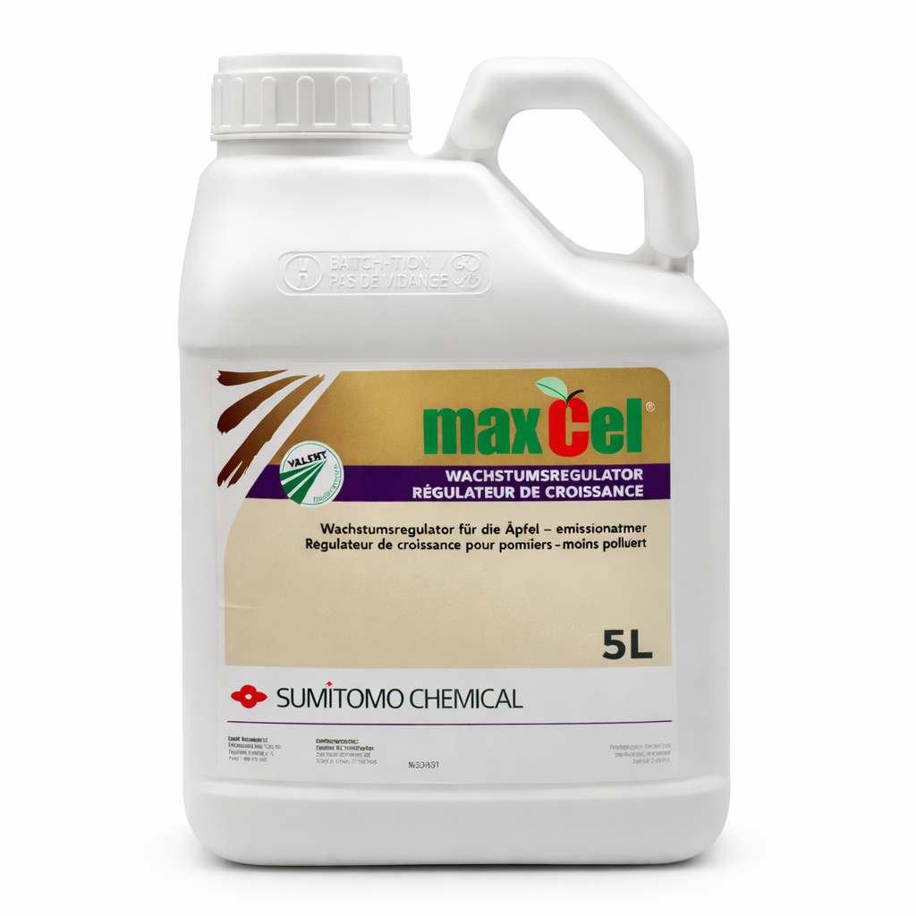 Description alternative par défaut