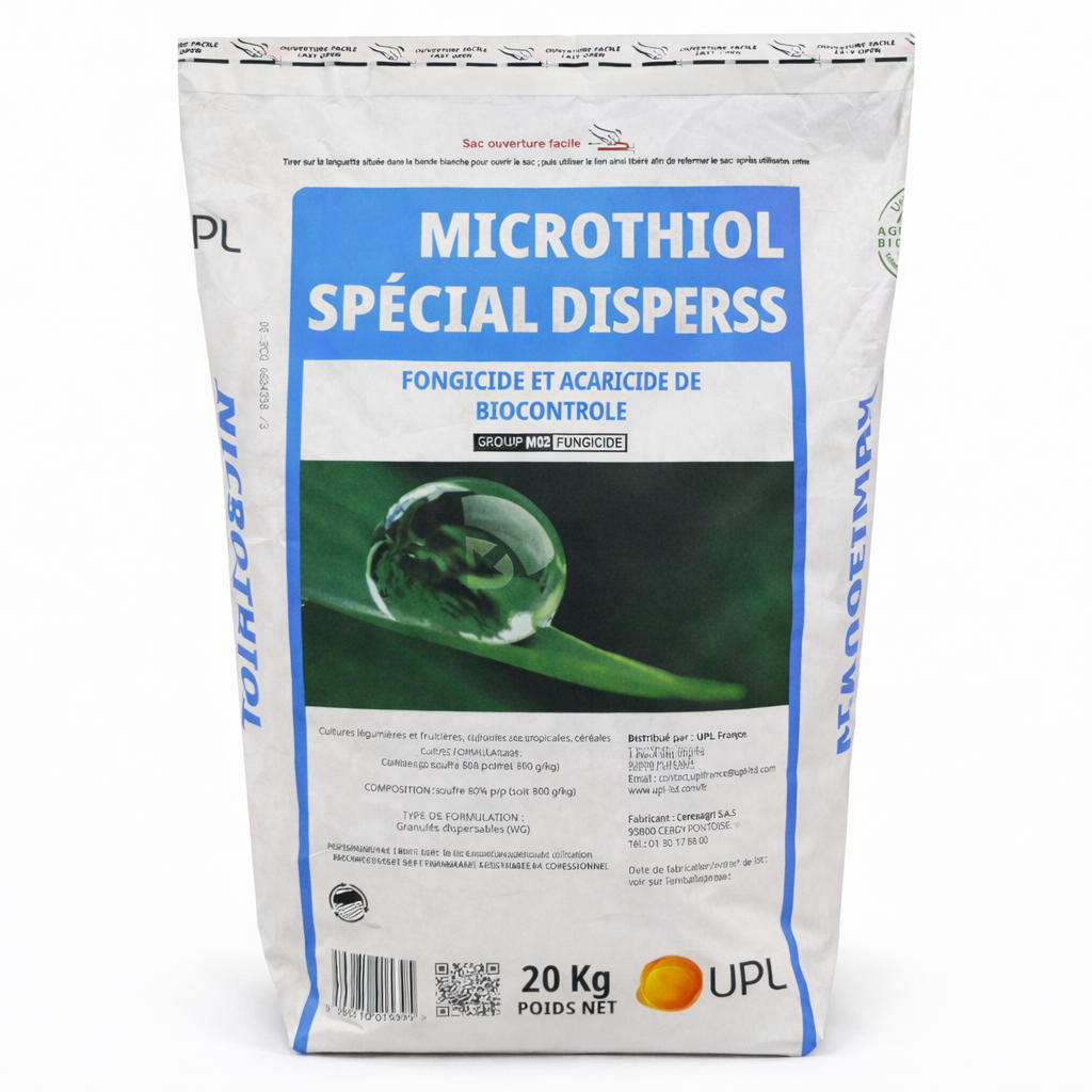 Description alternative par défaut