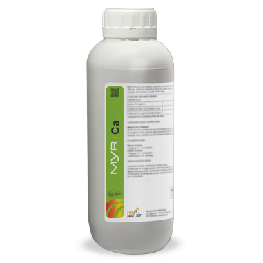 Description alternative par défaut