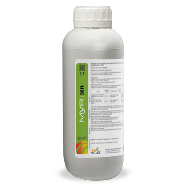 Description alternative par défaut