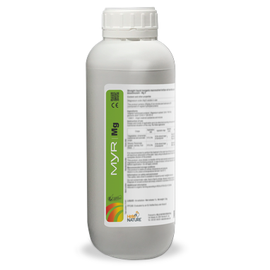 Description alternative par défaut