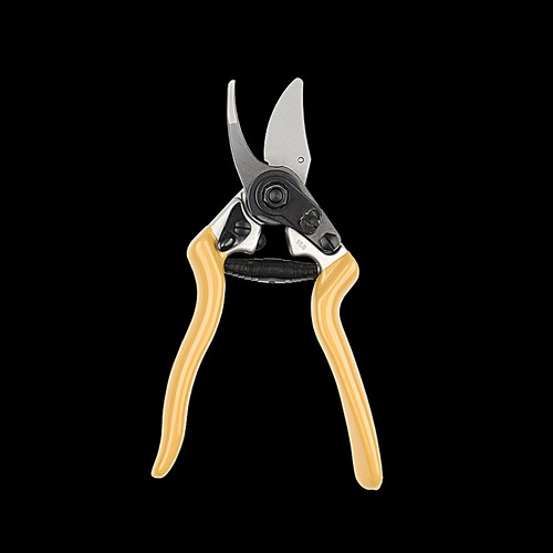 Description alternative par défaut