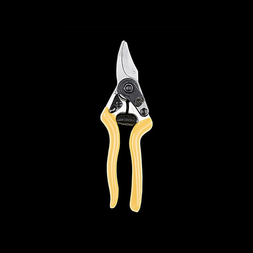 Description alternative par défaut