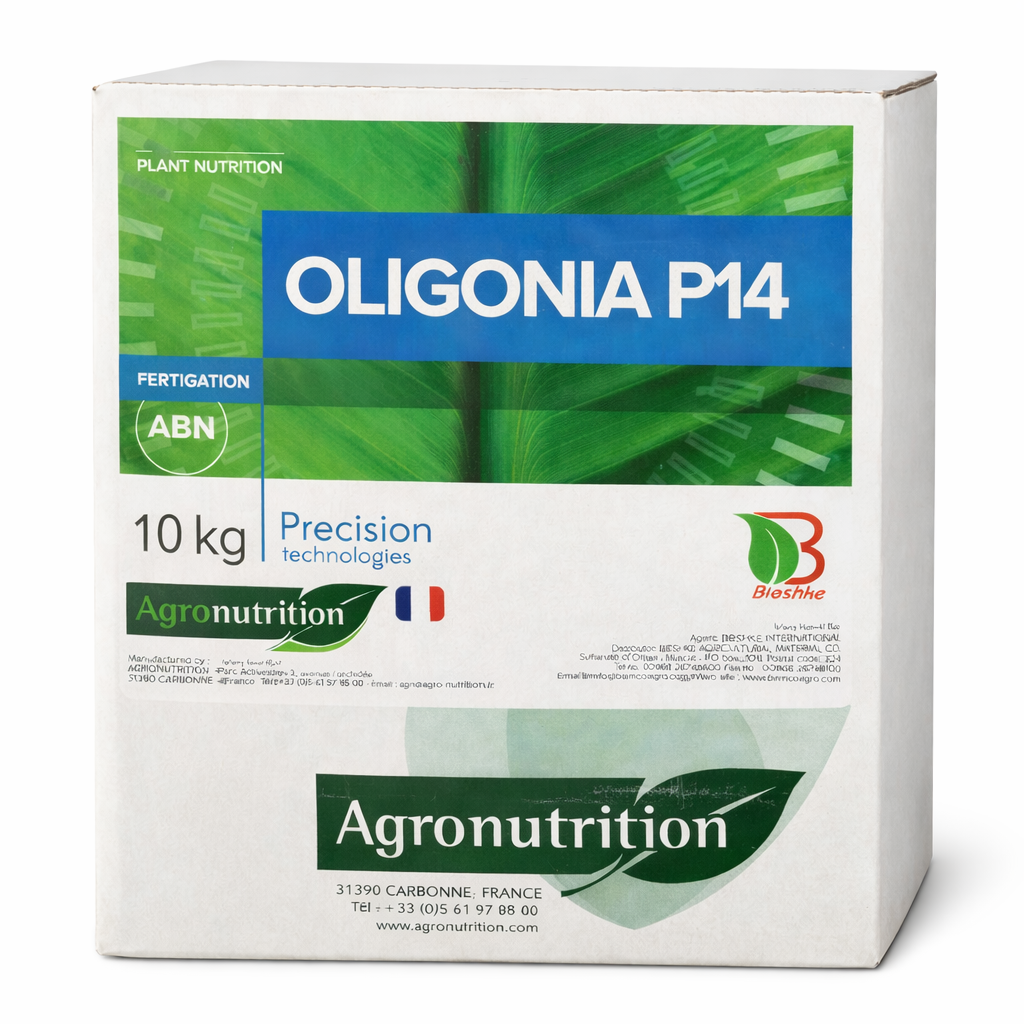 Description alternative par défaut