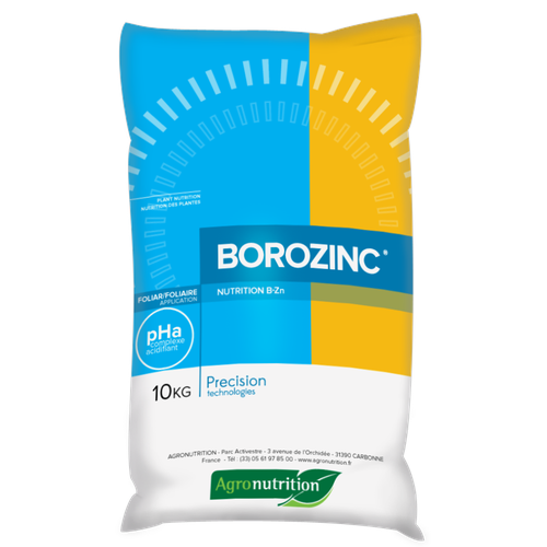 Description alternative par défaut