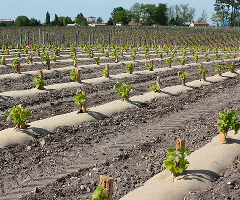 Description alternative par défaut