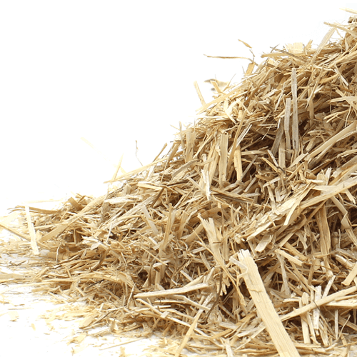 Description alternative par défaut