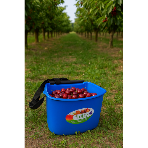 Description alternative par défaut