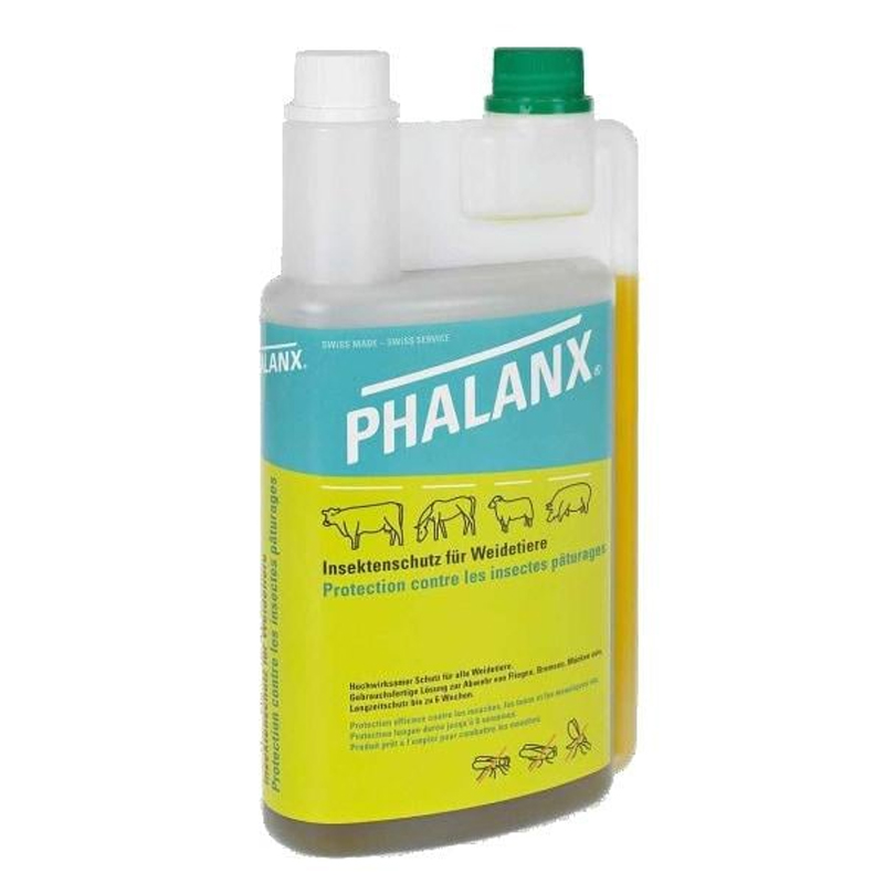 Description alternative par défaut