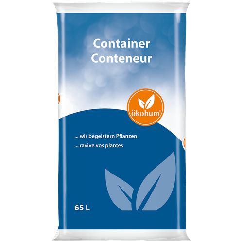 Description alternative par défaut